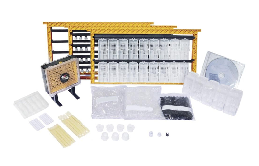 BEESTKEEPING | Royal Queen Rearing & Royal Jelly Kit