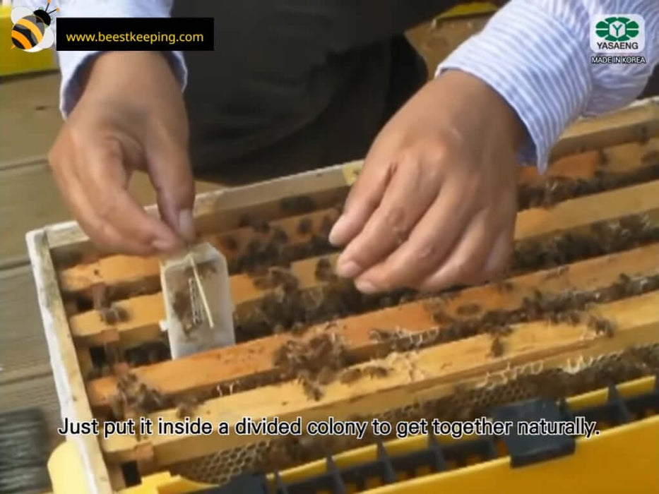 BEESTKEEPING | Royal Queen Rearing & Royal Jelly Kit