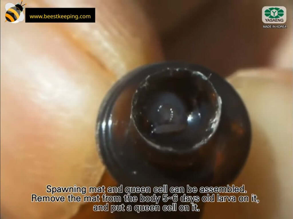 BEESTKEEPING | Royal Queen Rearing & Royal Jelly Kit