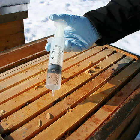 The Golden Window: When to Apply Oxalic Acid for Maximum Varroa Control