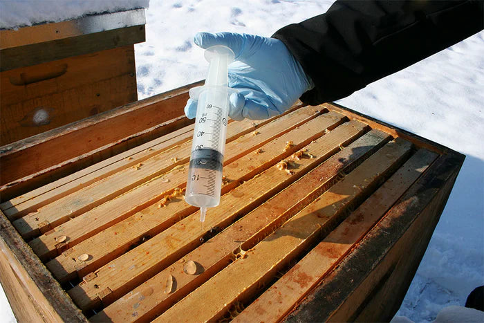 The Golden Window: When to Apply Oxalic Acid for Maximum Varroa Control