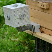 Automatic Bee Divider & Drone Trap & Prevent Escaping Bees