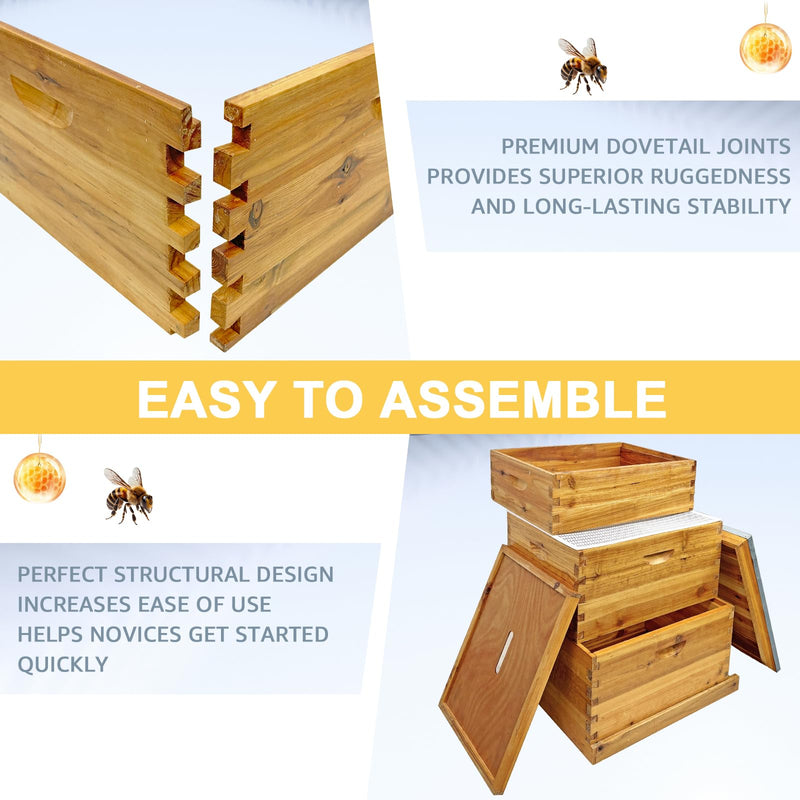 Langstroth Hive Coated with Beeswax (3-Layer)