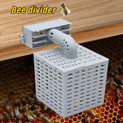 Automatic Bee Divider & Drone Trap & Prevent Escaping Bees