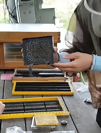 Hands holding queen rearing equipment for the BEESTKEEPING Queen Rearing & Royal Jelly Kit on a work table.