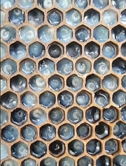 Close-up view of honeycomb cells showing developing larva for queen rearing process.