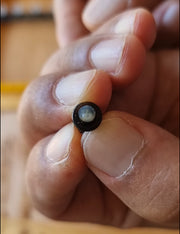 Hand holding a cell plug with a clear center, a component from the BEESTKEEPING queen rearing kit.