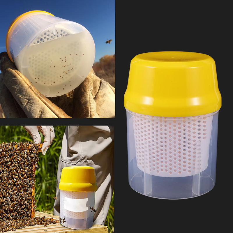 Varroa Mite Tester