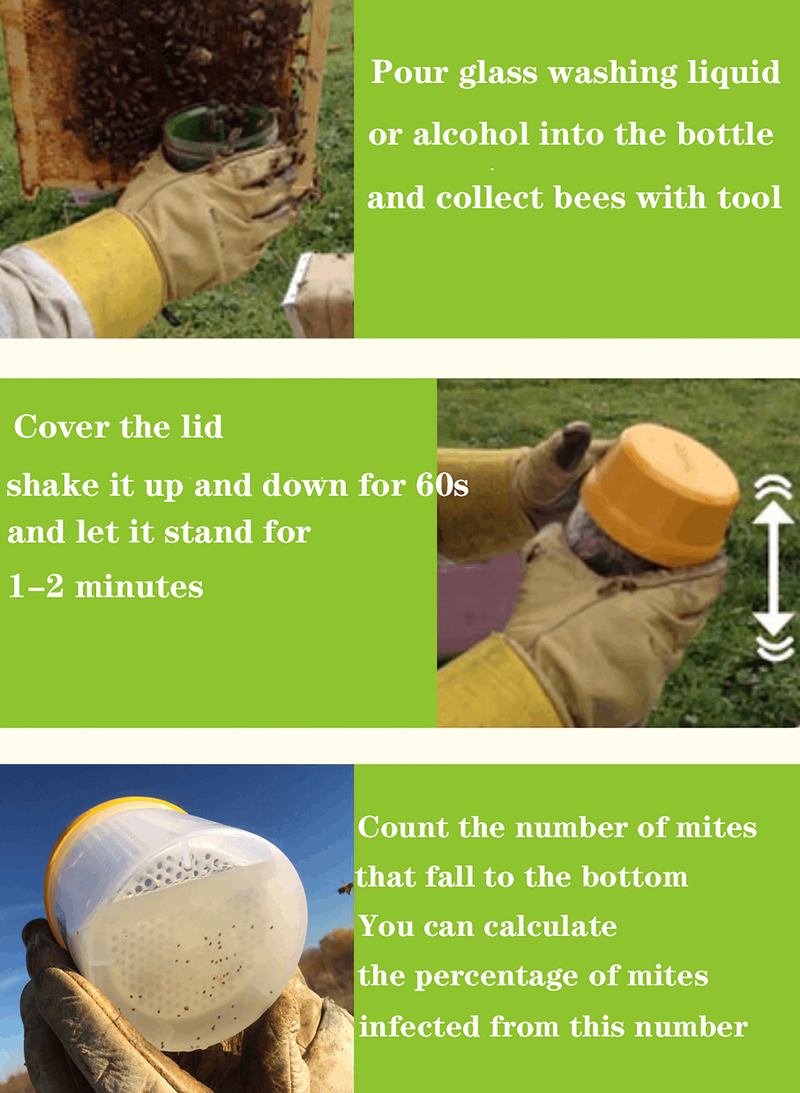 Varroa Mite Tester