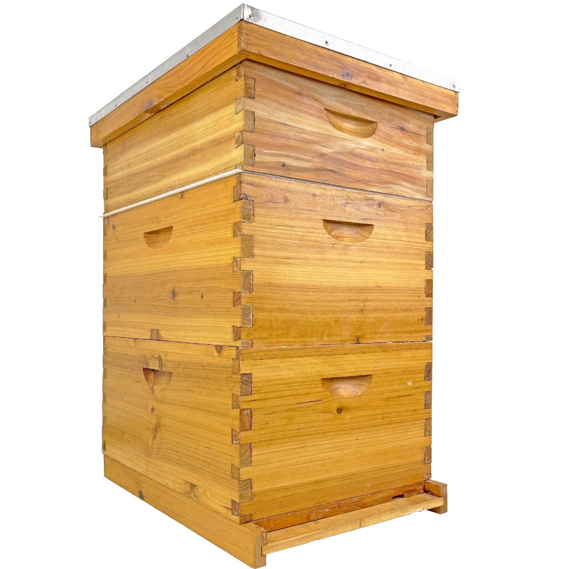 Langstroth Hive Coated with Beeswax (3-Layer)