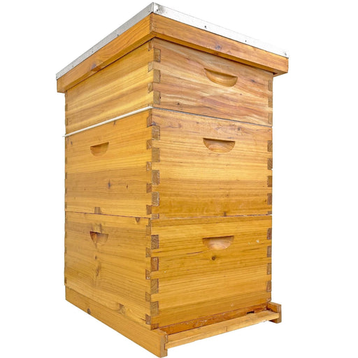 Langstroth Hive Coated with Beeswax (3-Layer)