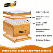 10-Frame Beehive Starter Kit, Includes Beekeeping Supplies Tool Kit and Protective Gear