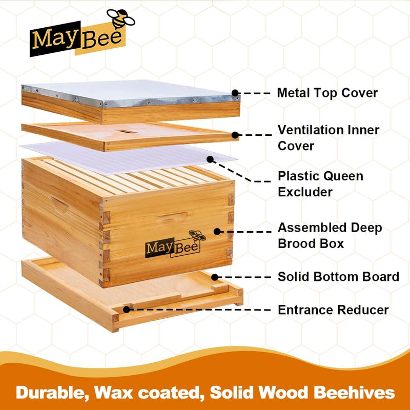 10-Frame Beehive Starter Kit, Includes Beekeeping Supplies Tool Kit and Protective Gear