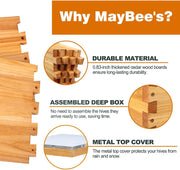10-Frame Beehive Starter Kit, Includes Beekeeping Supplies Tool Kit and Protective Gear