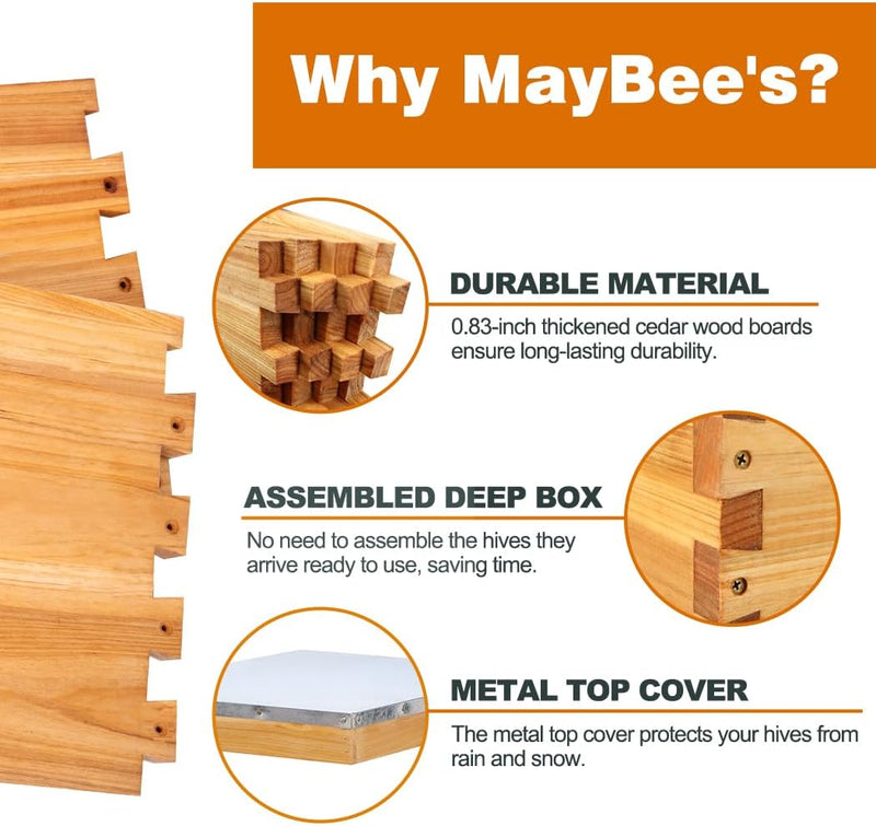 10-Frame Beehive Starter Kit, Includes Beekeeping Supplies Tool Kit and Protective Gear