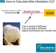 Varroa Easy Check Mite Tester
