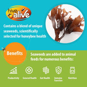Hive Alive Bee Food Fondant, Winter, Spring & Fall Feed, 2.2 Lb X 1-Pack