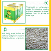 Queen Nuc Box Bee Mating Nuc Hive Bee House Mini Bee Hives Box Queen Rearing Box for Beekeeping (Green)