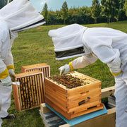 10-Frame Beehive Starter Kit, Includes Beekeeping Supplies Tool Kit and Protective Gear