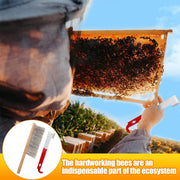 Stainless Steel J Hook Hive Tool and Premium Bee Brush