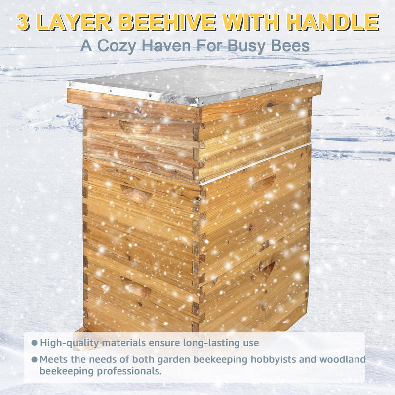 Langstroth Hive Coated with Beeswax (3-Layer)