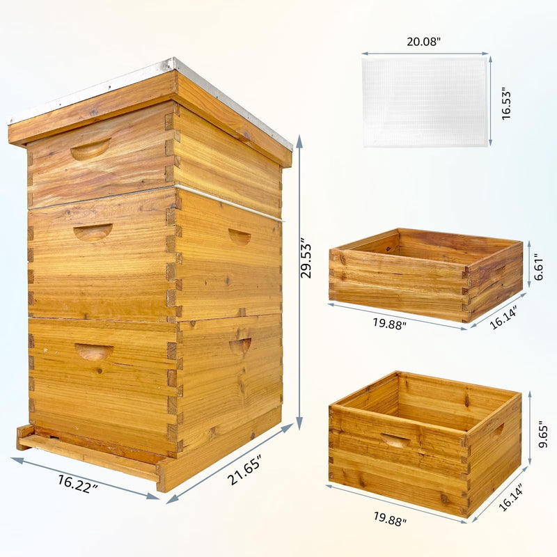 Langstroth Hive Coated with Beeswax (3-Layer)