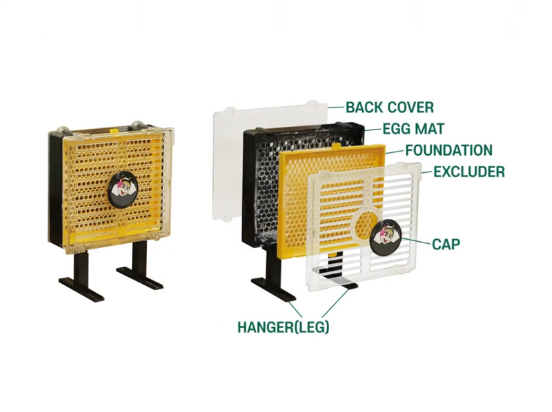 BEESTKEEPING | Queen Rearing & Royal Jelly Kit