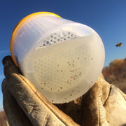 Varroa Mite Tester