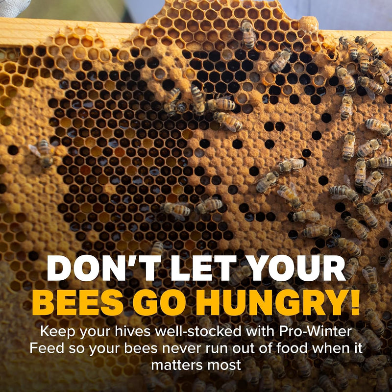 Pro-Winter Feed for Bees | 10Lb Bucket