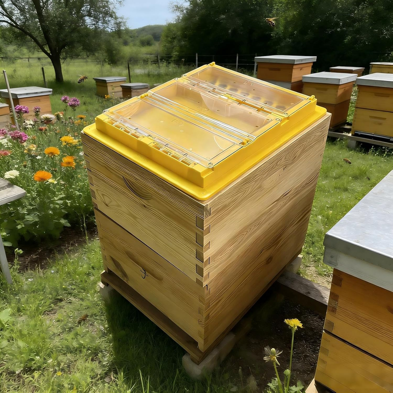 Top Feeder for 10-Frame Hives - Dry & Wet Separation Design