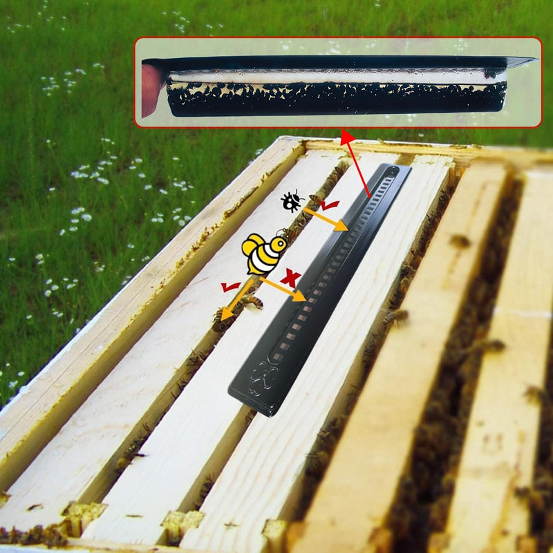 Beekeeping Beetle Trap for Hive (12 Piece)