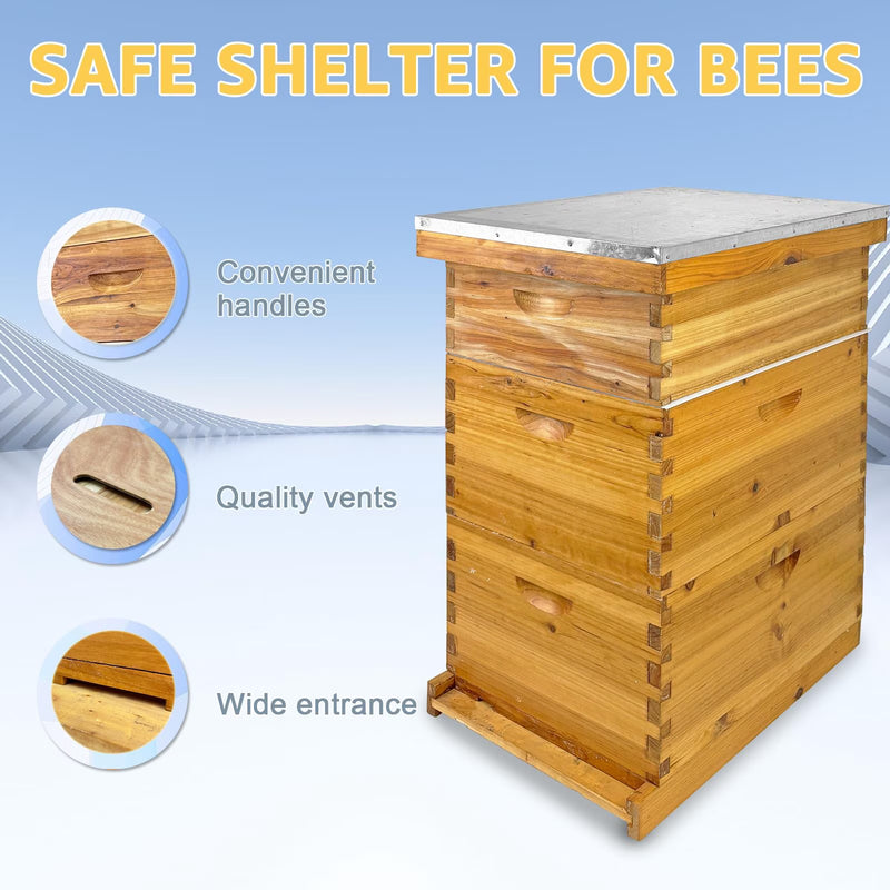 Langstroth Hive Coated with Beeswax (3-Layer)