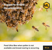 Bee-Pro Patties, High Protein Honey Bee Nutrition, 10 Lbs
