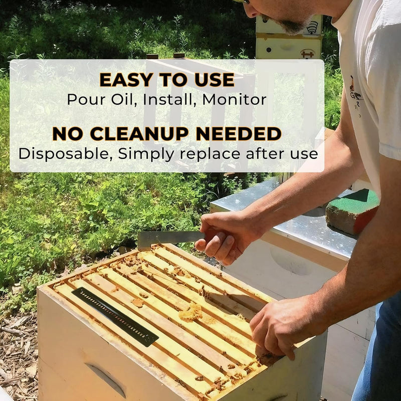 Beekeeping Beetle Trap for Hive (12 Piece)