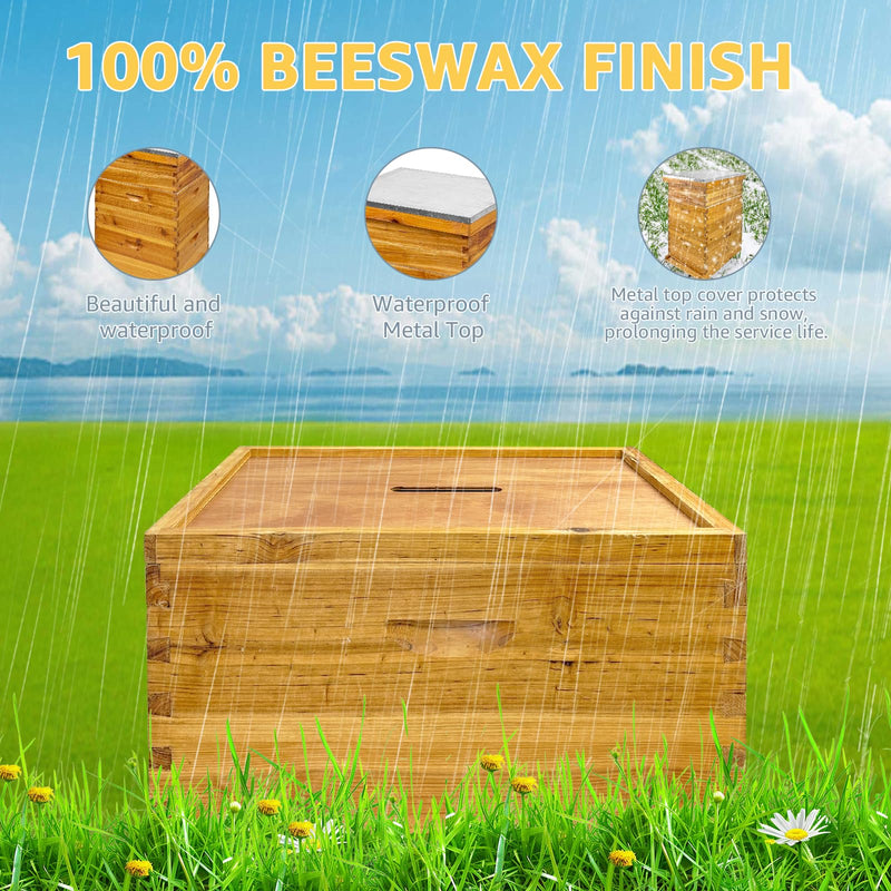 Langstroth Hive Coated with Beeswax (3-Layer)