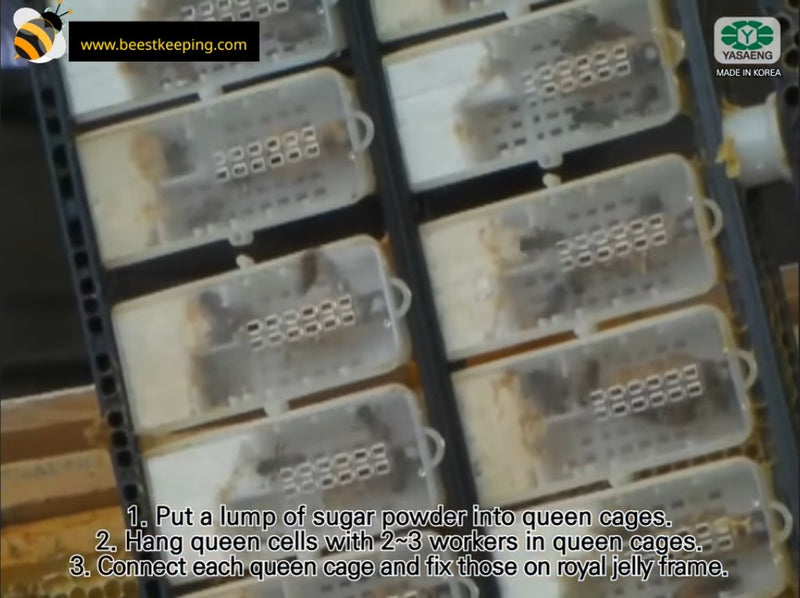 Spare Parts | 100 Pieces Queen Cage